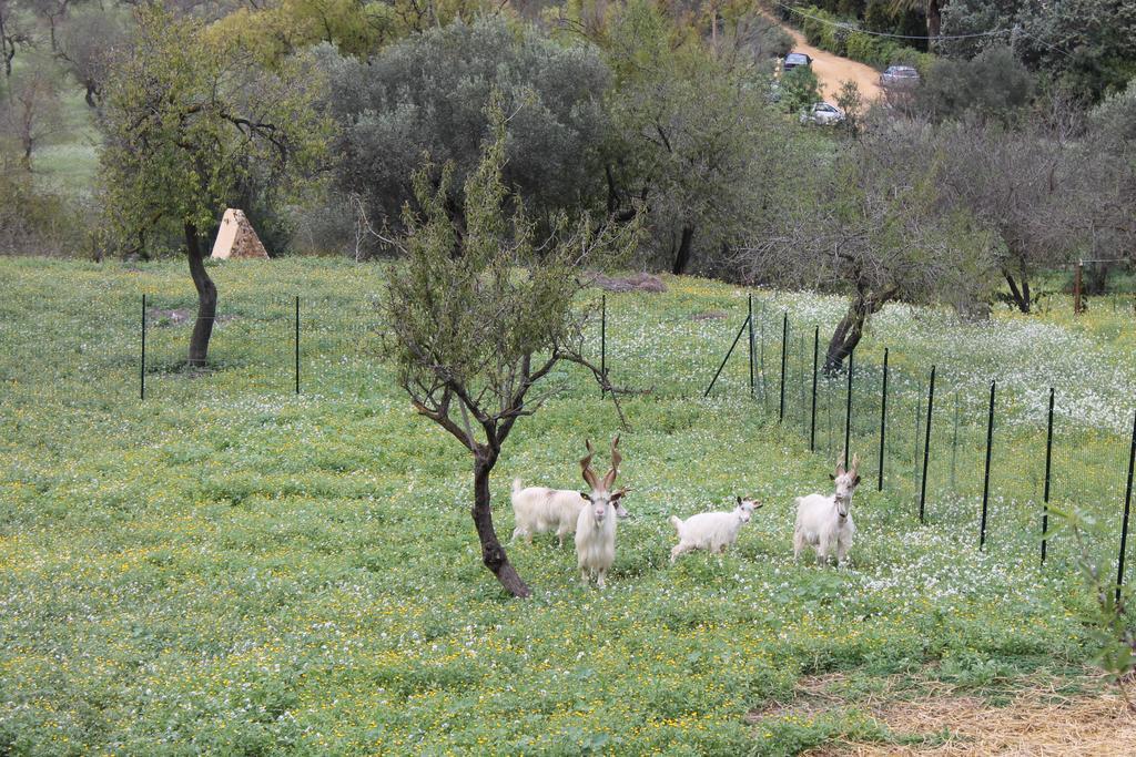 Apartamento Casa Vistosa Agrigento Exterior foto